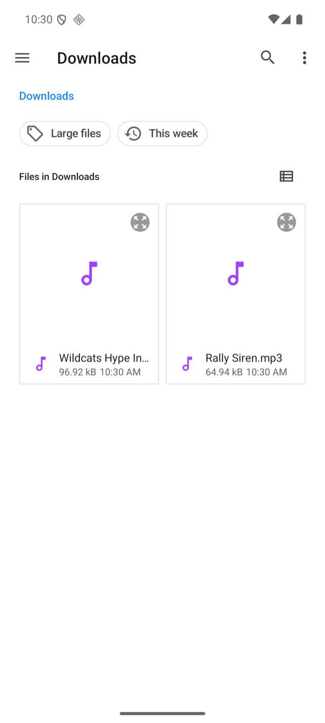 The phone's file browser open on the Downloads folder showing two audio files ready to pick